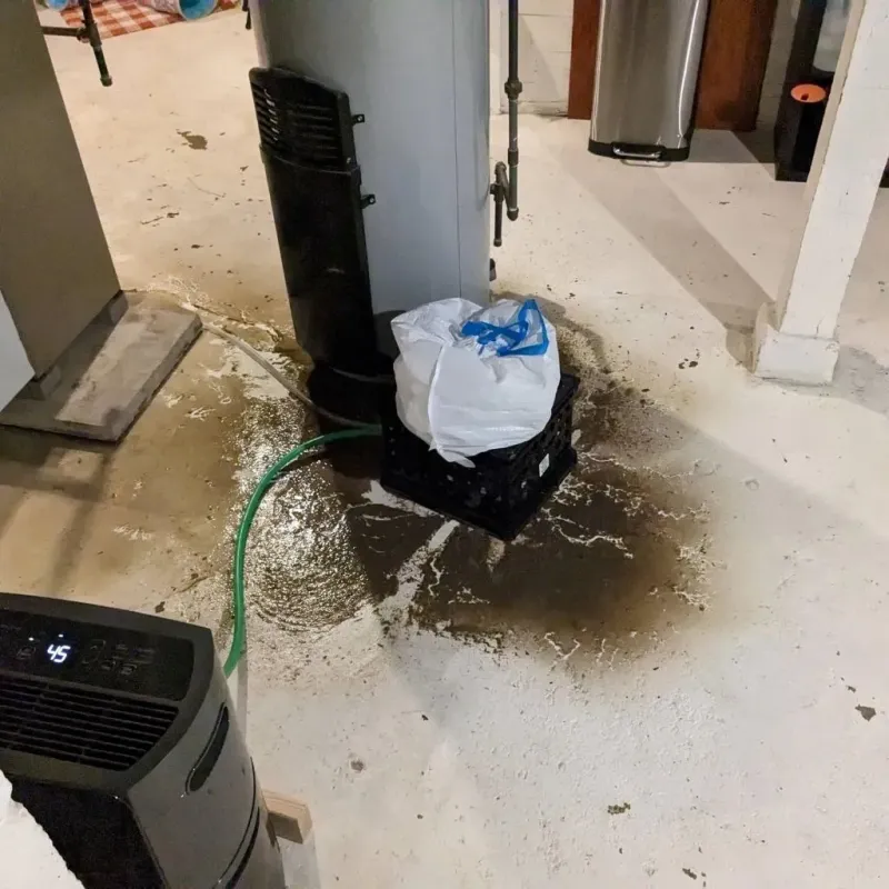 Sewage Backup Cleanup Service in Silt, CO